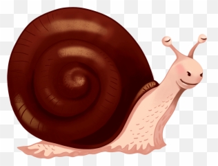 Snail Clipart Free Download Transparent Png Creazilla - Clipart Limak,Snail Transparent