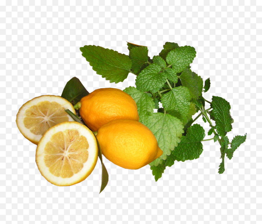 Lemons And - Free Photo On Pixabay Lemon Png,Lemons Png