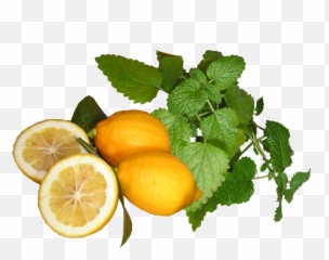Lemons And - Free photo Pixabay png
