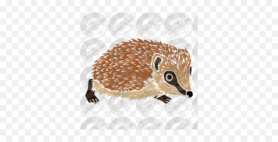 Hedgehog Stencil For Classroom Therapy Use - Great Domesticated Hedgehog Png,Hedgehog Png