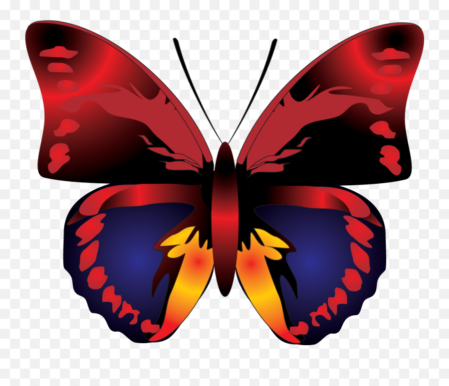 Download Butterfly Png Image Hq In Different - Butterfly Cartoon Clipart Png,Butterfly Png Transparent