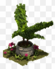Eagle Hedge Forge Of Empires Wiki Fandom - Bonsai Png,Hedge Png