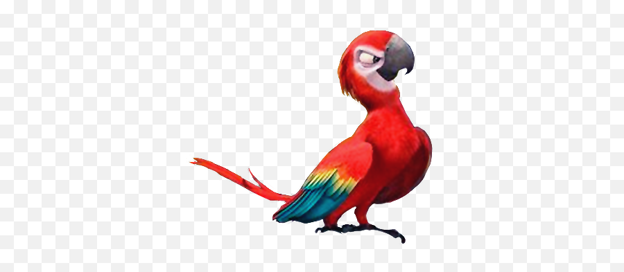 Felipe Heroes And Villians Wiki Fandom - Rio 2 Red Bird Png,Macaw Png