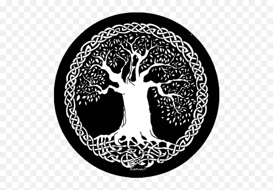 Eating From The Tree Of Life - Celtic Tree Of Life Png,Tree Of Life Logo