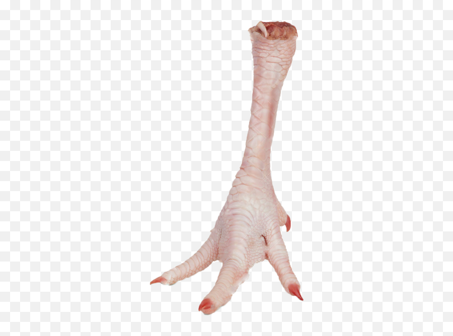Download Chicken Leg Png - Chicken Legs Transparent Png,Leg Transparent