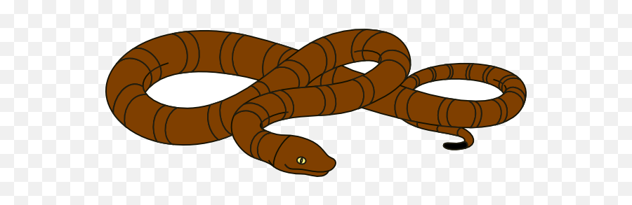 Vector Snake Cartoon Animals - Brown Snake Clipart Png,Cartoon Snake Png