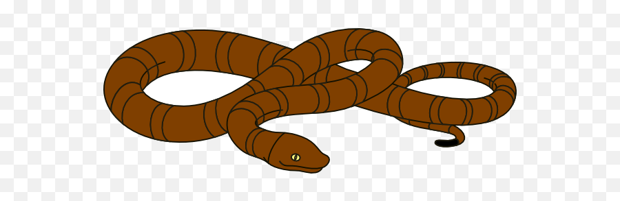 Змея предложение. Long Snake. Long Snake Clipart. Клипарт long. A Snake is long рисунок.