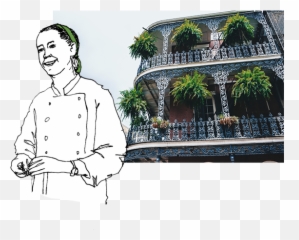 New Orleans Field Guide Wildsam - Uniform png
