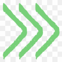 Hd Seta - Seta Png,Seta Png