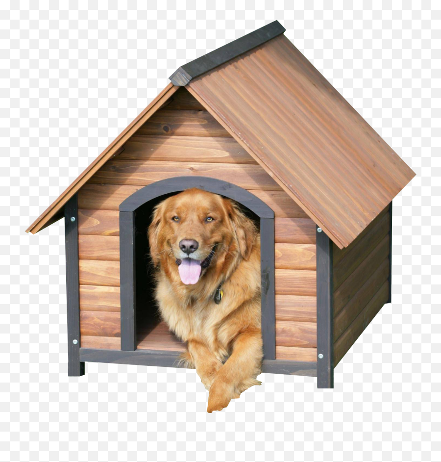 Black Labrador Dog Transparent Png Image - Pngpix Dog House Png,Pet Png