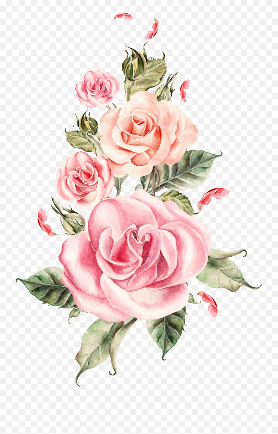 Download Pink Flower Bouquet Rose Roses Wedding Hand - Painted Rose Pink Flower Png,Flowers Bouquet Png