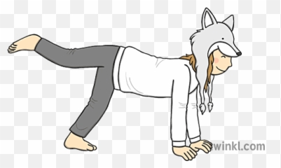 Arctic Fox Pose Illustration - Twinkl Stretches png
