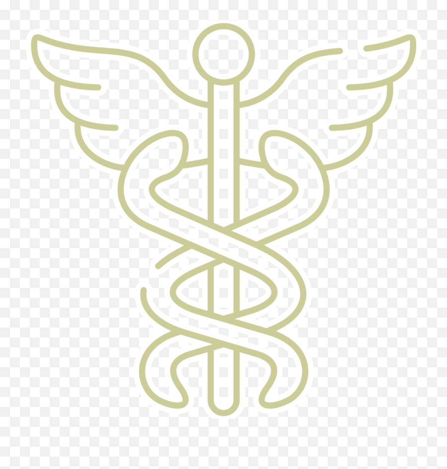 Privacy And Hipaa Nurseregistry - Language Png,Gold Icon
