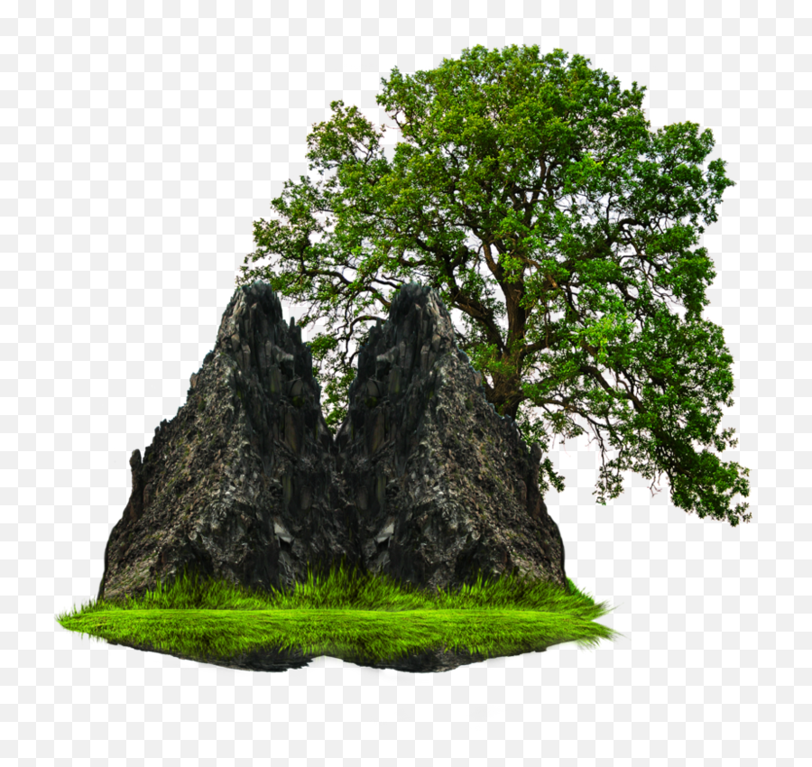 Png Grass With Tree And Rock - All Png Image Download,The Rock Png