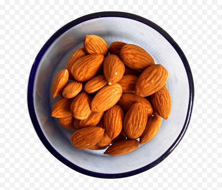 Bowl Of Almonds Transparent Png - Almond Pictures For Kids,Almonds Png