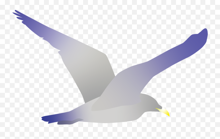 Ocean Lives U2014 Xiao Ma Design - European Herring Gull Png,Seagull Png