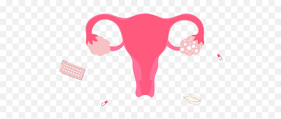 Fertility Services Mothercare Hospital - Pcos Ovary Vector Png,Uterus Icon