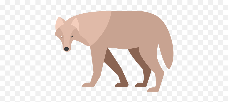 Wolf Side View Flat Transparent Png U0026 Svg Vector - Animal Figure,Coyote Icon