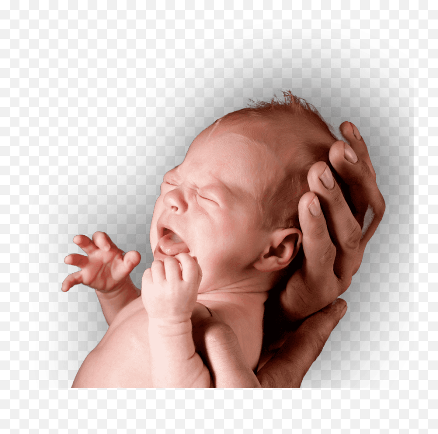 Download Crying Baby In Adults Hands - Baby In Hands Png,Crying Baby Png