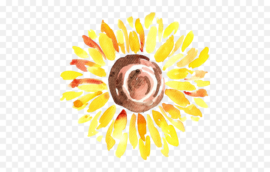 Download Hd Art Transparent Watercolor Sunflower - Chenara Watercolor Aesthetic Stickers Clipart Png,Watercolor Sunflower Png