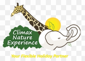 Gorilla Trekking In Uganda Best Online Holiday Deals Png Logo