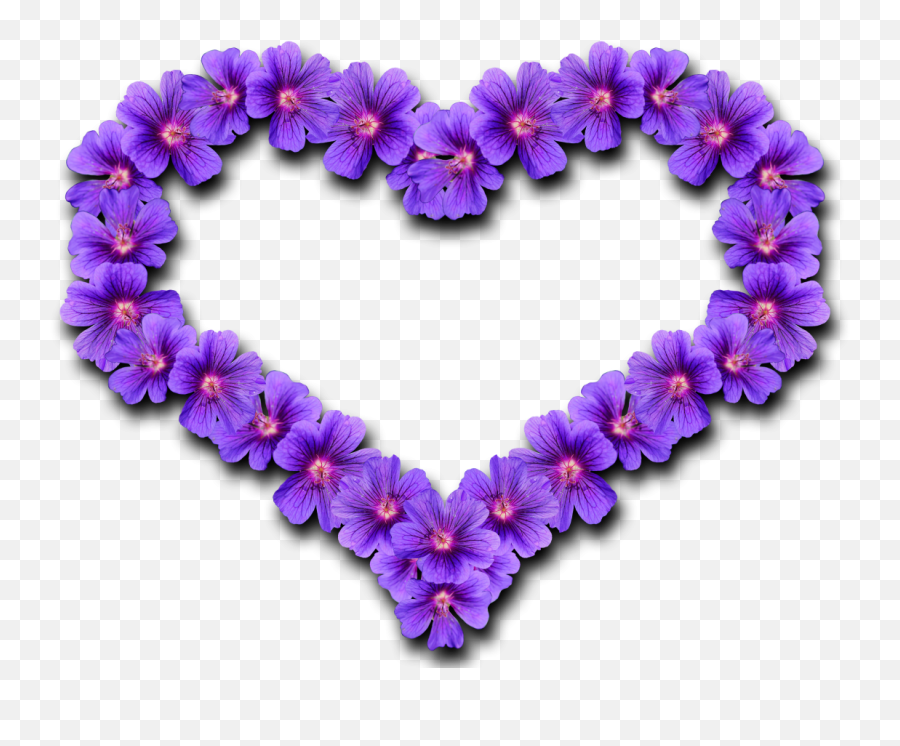 Flower Heart Png Image - Purepng Free Transparent Cc0 Png Purple Flower Love Heart,Blue Heart Png