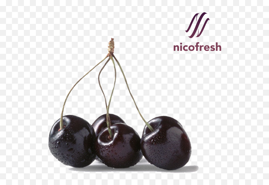 Download Black Cherry Hq Png Image Freepngimg - Transparent Black Cherry Png,Cherries Png