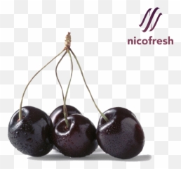 Download Black Cherry Hq Png Image Freepngimg - Transparent Black Cherry Png,Cherries Png