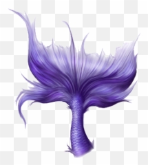 Mermaid Tail Png Download - Transparent