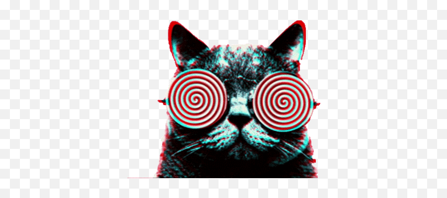 Psychedelic Transparent Trippy Cat Sticker Acid Cats Dmt Lsd Gif - Lsd Gif Png,Cats Transparent
