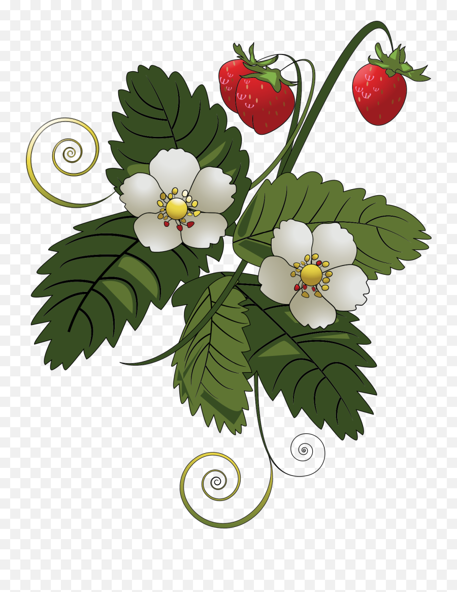Download Big Image - Strawberry Tree Clip Art Full Size Strawberry Plant Transparent Background Png,Strawberry Clipart Png
