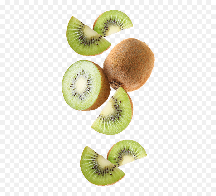 Kiwi Png - Later We Were Also Pioneers In Introducing The Kiwifruit,Kiwi Transparent