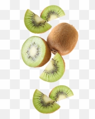 Kiwi Png - Later We Were Also Pioneers In Introducing The Kiwifruit,Kiwi Transparent