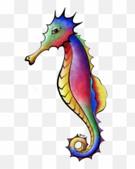 Download Seahorse Drawing Colorful - Northern Seahorse Png Seahorses,Seahorse Png