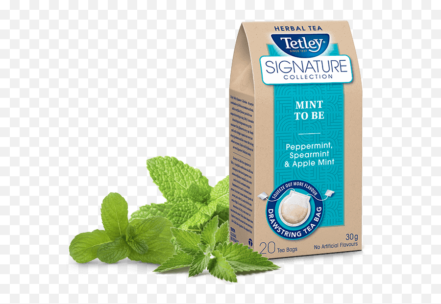 Tetley Signature Collection Mint To Be - Carton Png,Mint Transparent