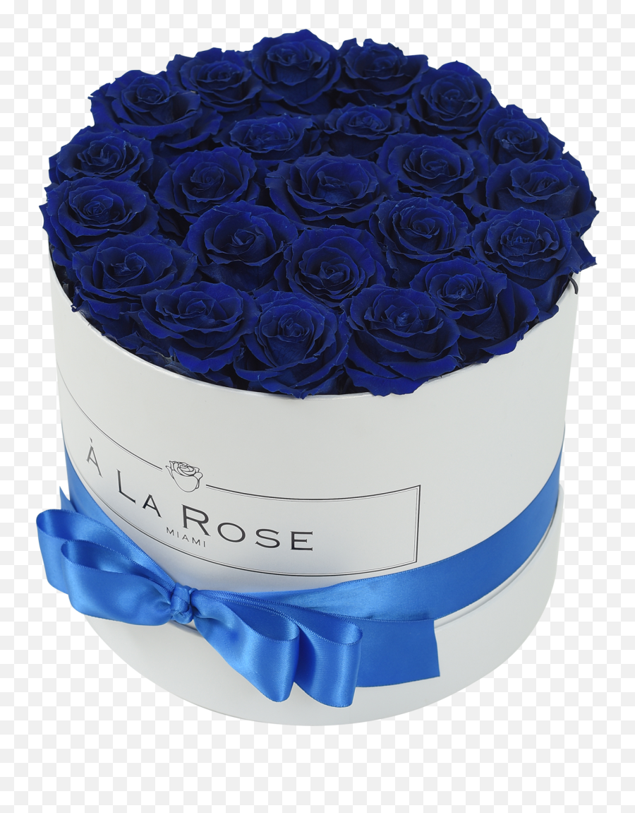 Royal Blue Roses In A Box La Rose - Blue Rose Png,Blue Rose Png