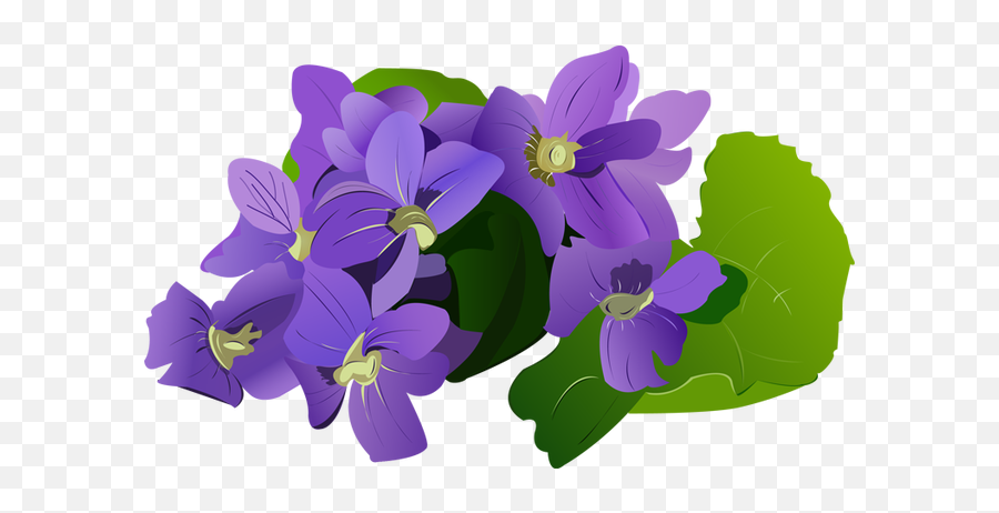 Violet Images Banner Free Download - Violets Flower Clipart Png,Violets Png