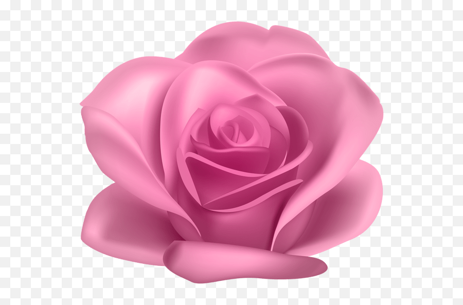 Pink Flower Rose Transparent Image Gallery Yopriceville - Garden Roses Png,Purple Roses Png