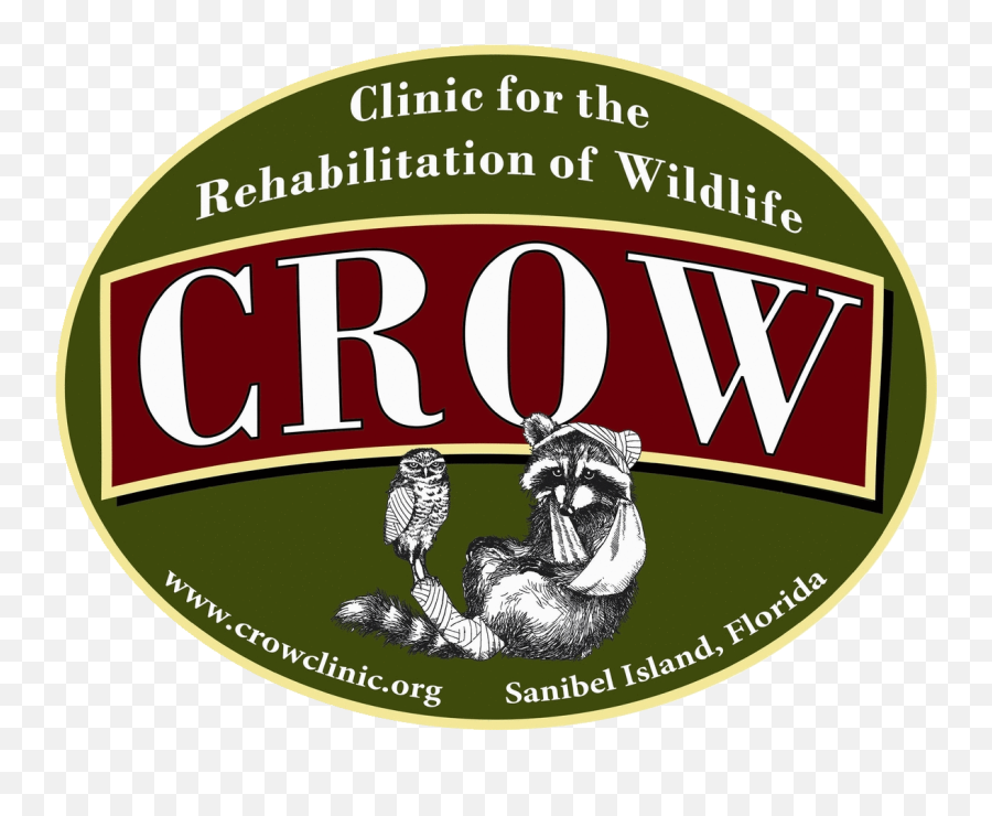 Donate Your Car To Charity Nonprofits - Label Png,Crow Logo