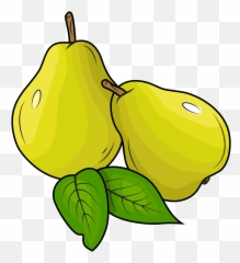 Clipart - Clip Art Png,Pears Png