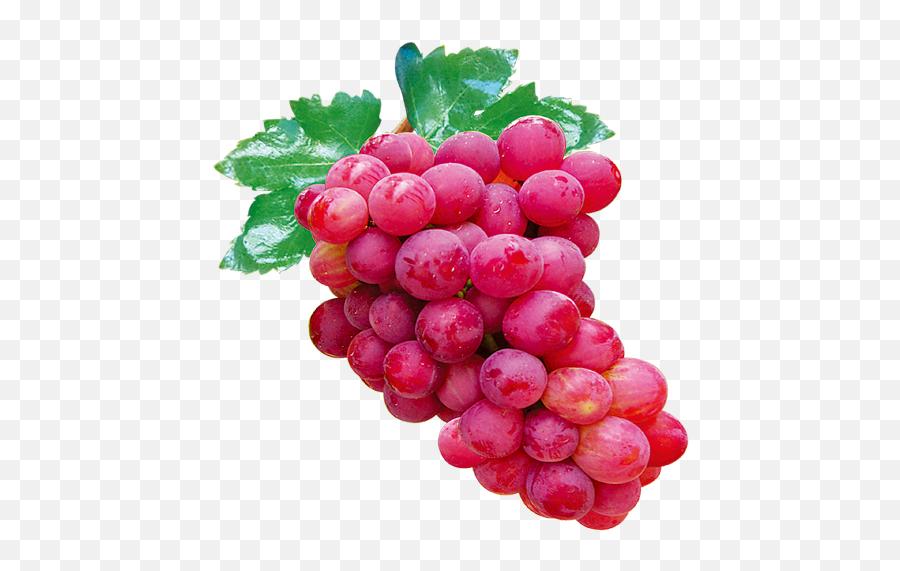 Red Grapes - Red Grapes Png,Grape Png