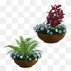 Garden Planters Plants - Plantas Para Jardim Png,Planters Png