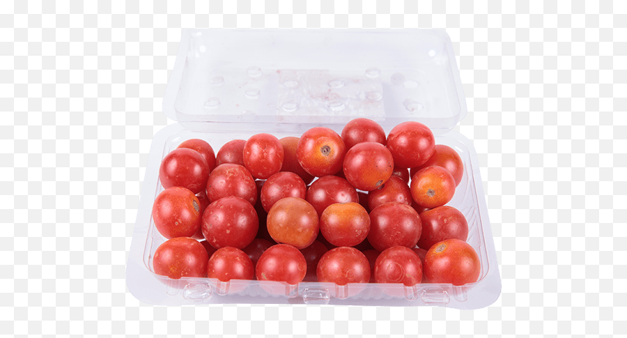 Download Tomate Cereja Png - Plum Tomato Full Size Png Tomate Cereja Bandeja,Plum Png