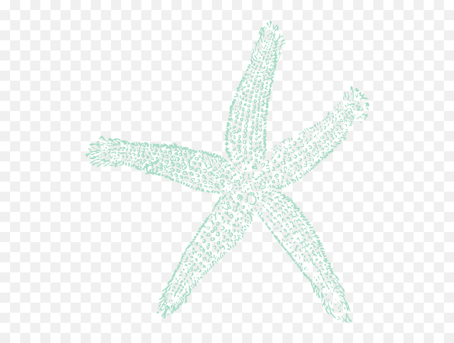 Sea Blue Starfish Clip Art - Vector Clip Art Teal Starfish Clipart Png,Starfish Transparent Background
