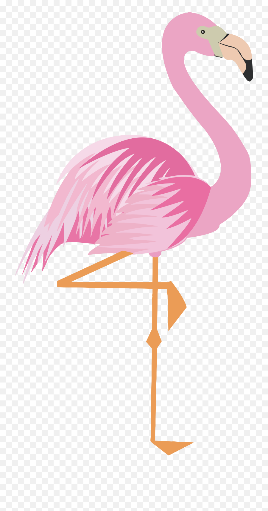 Flamingo Clipart Png - Clip Art Flamingo Png,Flamingo Clipart Png