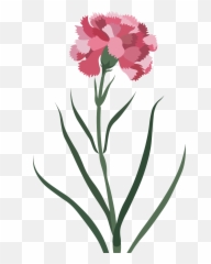 Carnation Flower Clipart - Lovely Png,Carnation Png