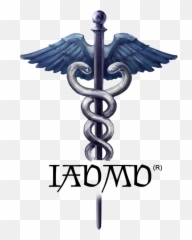 Wayne State University - Clip Art Library New Logo Of Doctors png