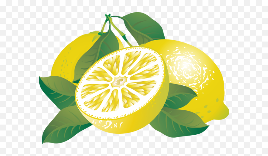Lemon - Fruitspngtransparentimagescliparticonspngriver Lemons Clipart Png,Lemon Transparent Background