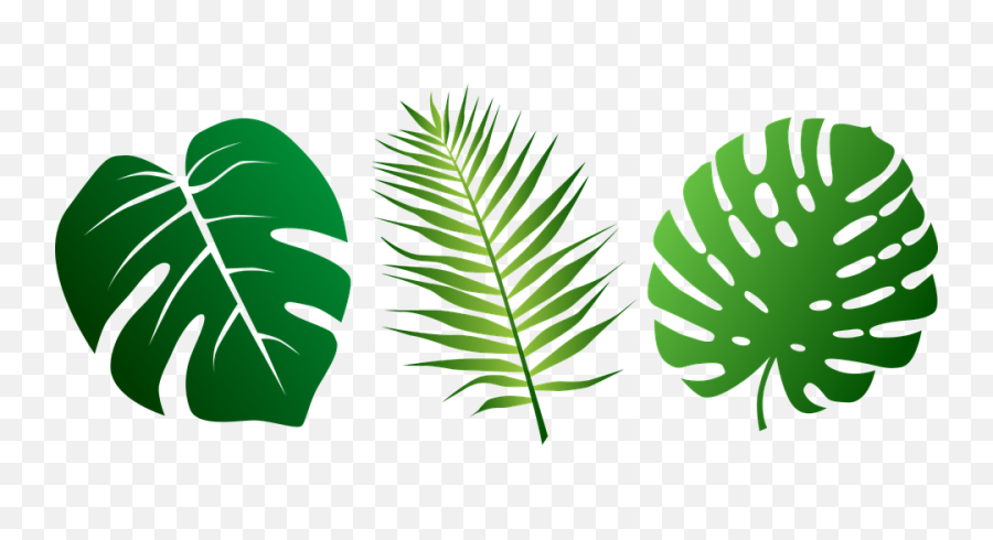 Jungle Leaves Vector - Jungle Leaf Clipart Png,Palm Tree Leaves Png