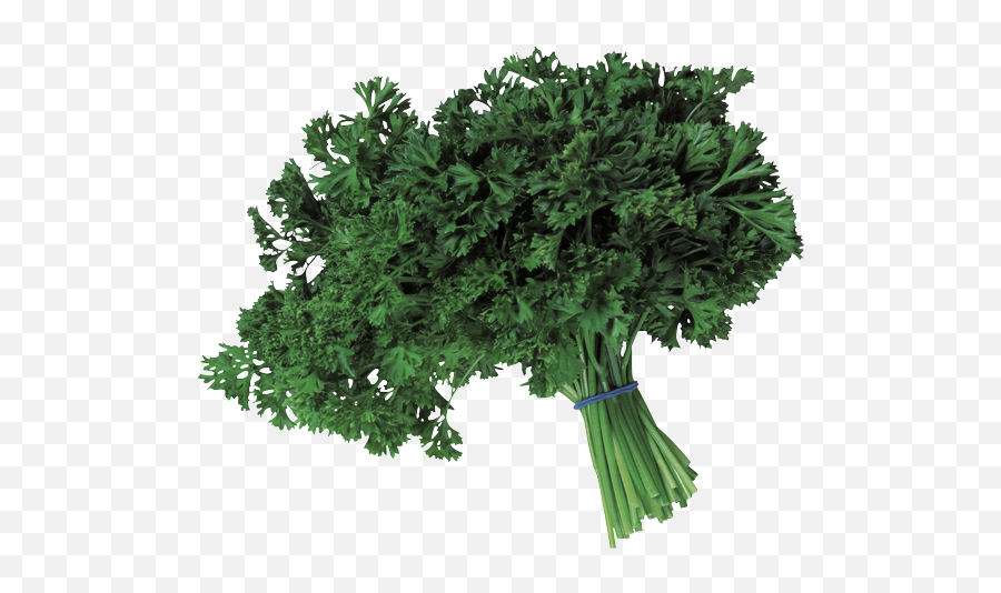 Parsley Avina Produce - Fines Herbes Png,Parsley Png